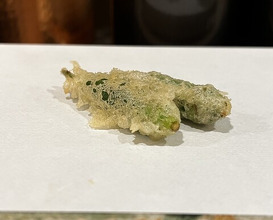 Dinner at Tenpaku (天白)