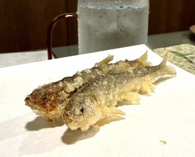 Dinner at Tenpaku (天白)