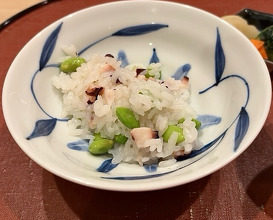 Dinner at Oryori Terasawa (御料理 寺沢)