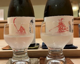 Dinner at Oryori Terasawa (御料理 寺沢)