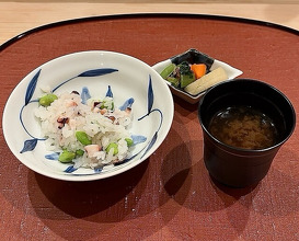 Dinner at Oryori Terasawa (御料理 寺沢)