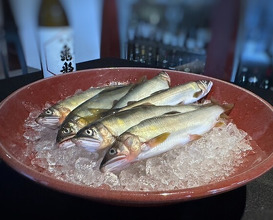 Dinner at Japanese Cuisine Tobi Ume (日本料理 TOBIUME)