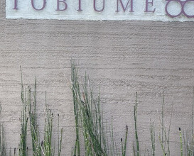 Dinner at Japanese Cuisine Tobi Ume (日本料理 TOBIUME)