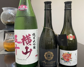 Dinner at Japanese Cuisine Tobi Ume (日本料理 TOBIUME)
