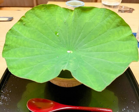 Dinner at Tokuha Motonari