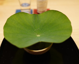 Dinner at Tokuha Motonari