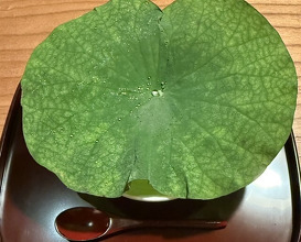 Dinner at Tokuha Motonari