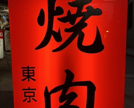Dinner at Tokyo En (東京園)