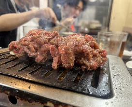 Dinner at Tokyo En (東京園)