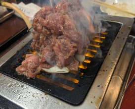 Dinner at Tokyo En (東京園)