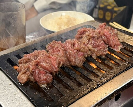 Dinner at Tokyo En (東京園)