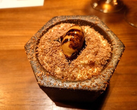 Dinner at TOM Curiosa