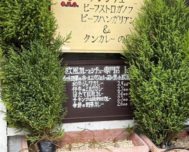 Dinner at European Curry Tomato (トマト)