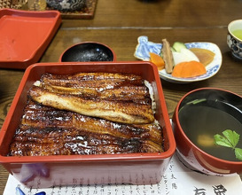 Dinner at Unagi Tei Tomoei (うなぎ亭 友栄)