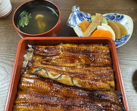 Dinner at Unagi Tei Tomoei (うなぎ亭 友栄)