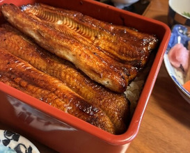 Dinner at Unagi Tei Tomoei (うなぎ亭 友栄)