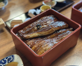Dinner at Unagi Tei Tomoei (うなぎ亭 友栄)