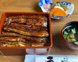 Dinner at Unagi Tei Tomoei (うなぎ亭 友栄)