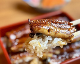 Dinner at Unagi Tei Tomoei (うなぎ亭 友栄)
