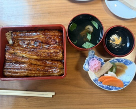 Dinner at Unagi Tei Tomoei (うなぎ亭 友栄)