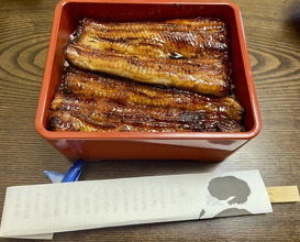 Dinner at Unagi Tei Tomoei (うなぎ亭 友栄)