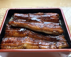 Dinner at Unagi Tei Tomoei (うなぎ亭 友栄)