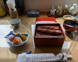 Dinner at Unagi Tei Tomoei (うなぎ亭 友栄)