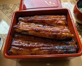 Dinner at Unagi Tei Tomoei (うなぎ亭 友栄)