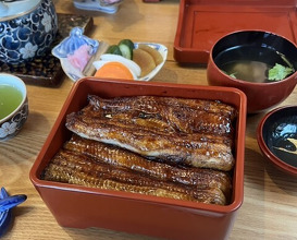 Dinner at Unagi Tei Tomoei (うなぎ亭 友栄)