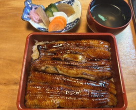 Dinner at Unagi Tei Tomoei (うなぎ亭 友栄)