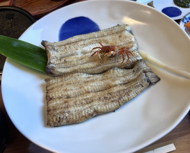 Dinner at Unagi Tei Tomoei (うなぎ亭 友栄)