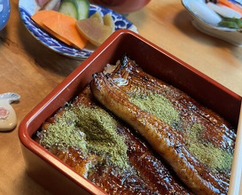 Dinner at Unagi Tei Tomoei (うなぎ亭 友栄)