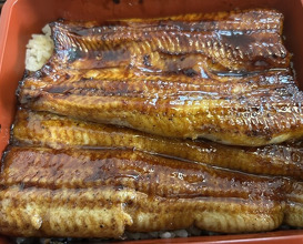 Dinner at Unagi Tei Tomoei (うなぎ亭 友栄)