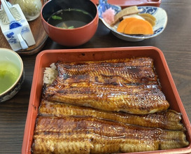 Dinner at Unagi Tei Tomoei (うなぎ亭 友栄)