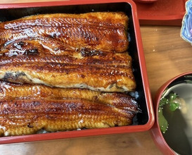 Dinner at Unagi Tei Tomoei (うなぎ亭 友栄)