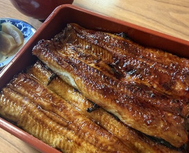 Dinner at Unagi Tei Tomoei (うなぎ亭 友栄)