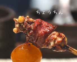 Dinner at Torisaki Jikou