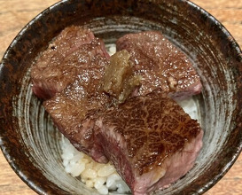 Dinner at Tori Shige (鳥茂)