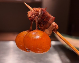 Dinner at Torisho Ishii