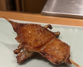 Dinner at Torisho Ishii