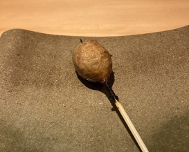 Dinner at Torisho Ishii Hina
