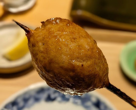 Dinner at Torisho Ishii Hina