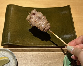 Dinner at Torisho Ishii Hina