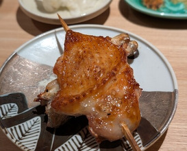Dinner at Torisho Ishii Hina