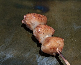 Dinner at Torisho Ishii Hina