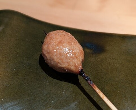 Dinner at Torisho Ishii Hina