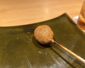 Dinner at Torisho Ishii Hina