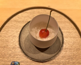 Dinner at Torisho Ishii Hina