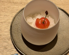 Dinner at Torisho Ishii Hina
