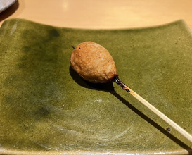 Dinner at Torisho Ishii Hina